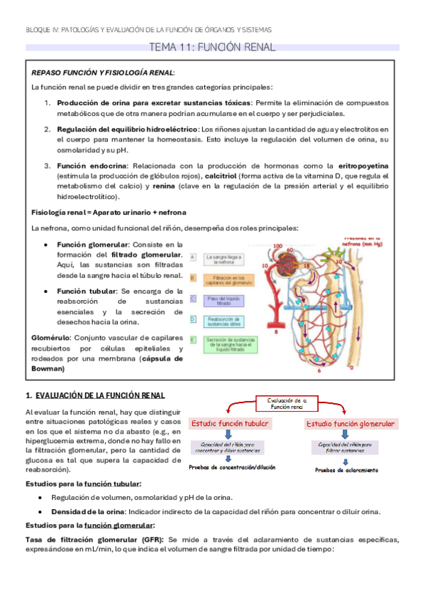 Miniatura del documento TEMA-11-BQ.pdf