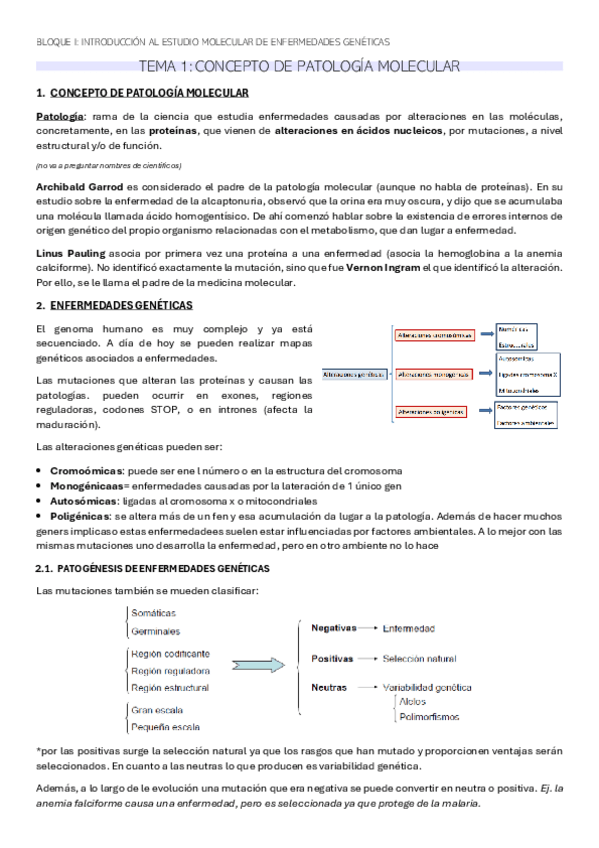 Miniatura del documento TEMA-1-BQ.pdf