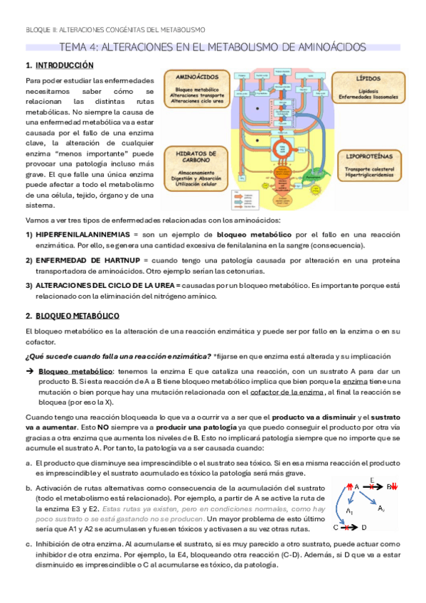 Miniatura del documento TEMA-4-BQ.pdf