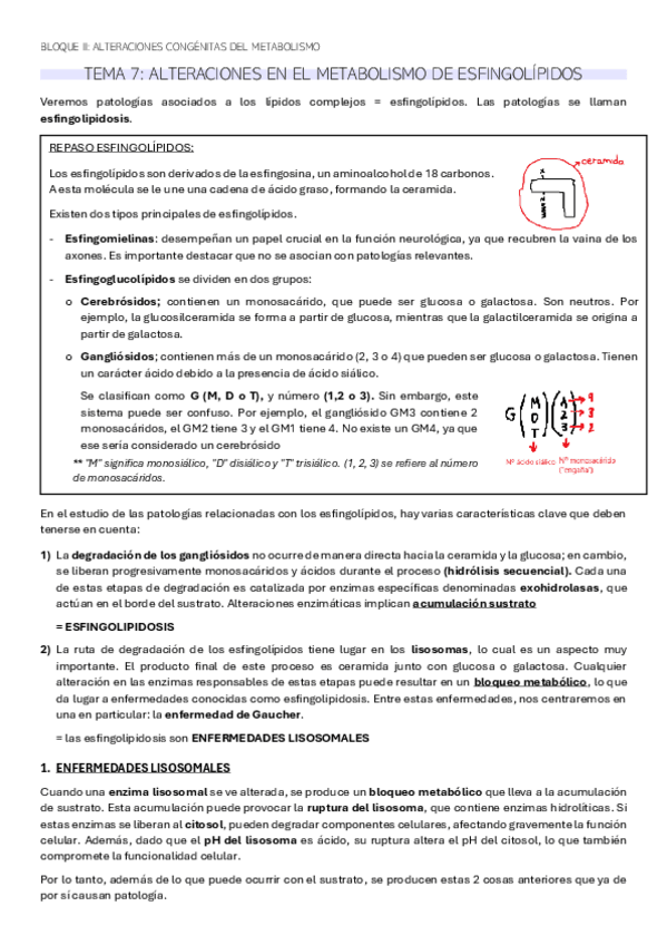 Miniatura del documento TEMA-7-BQ.pdf