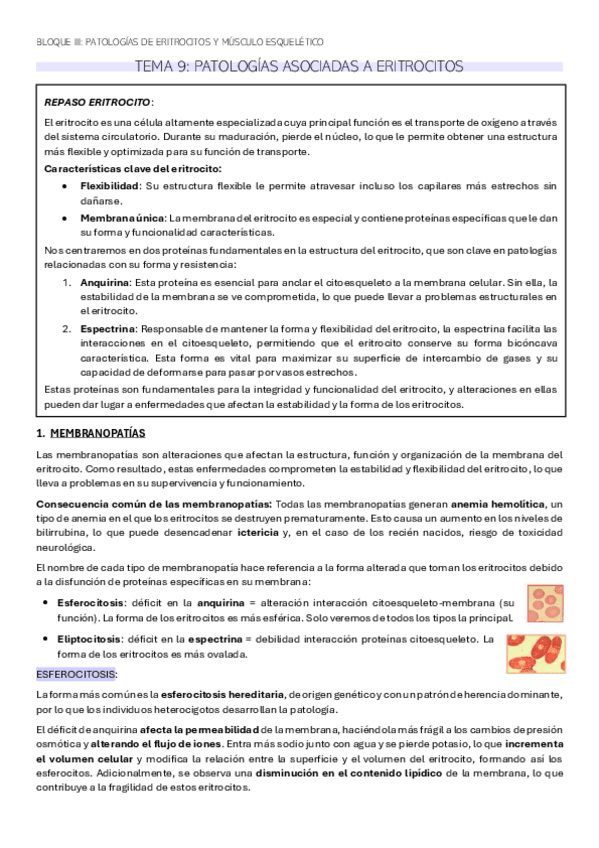 Miniatura del documento TEMA-9-BQ.pdf