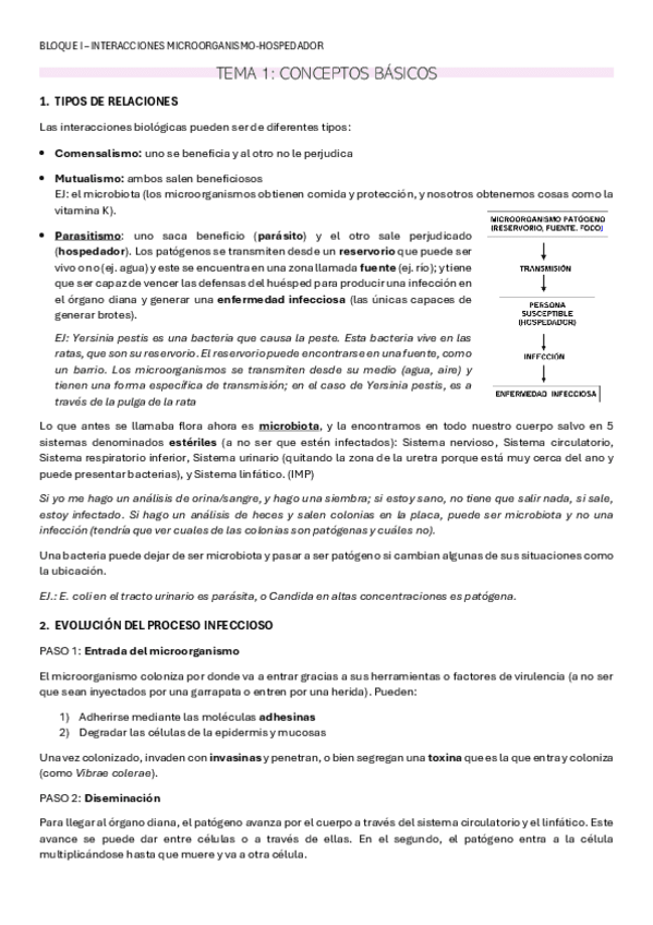 Miniatura del documento BLOQUE-I-MICROC.pdf