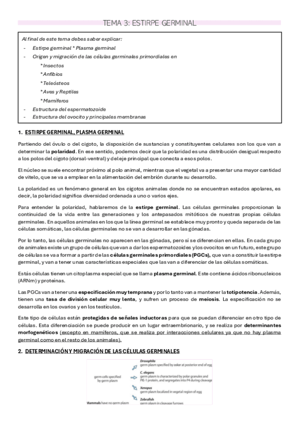Miniatura del documento TEMA-3-BIODES.pdf