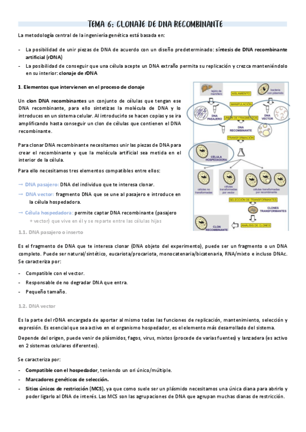 Miniatura del documento T6-Clonaje-de-DNA-recombinante.pdf