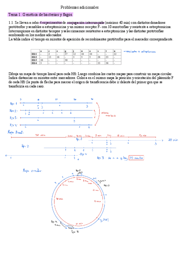 Miniatura del documento Problemas-adicionales-resueltos-tema-1.pdf