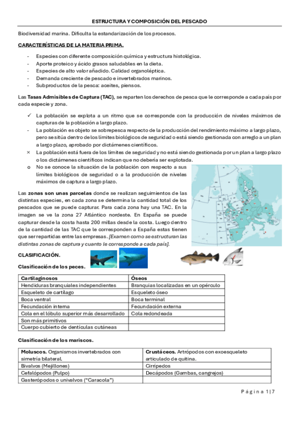 Miniatura del documento ESTRUCTURA-Y-COMPOSICION-DEL-PESCADO.pdf