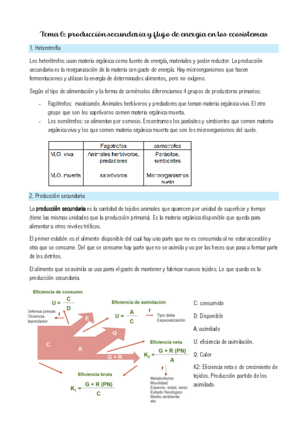 Miniatura del documento Tema-6-Ecologia-II.pdf