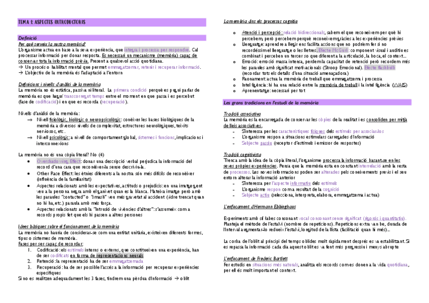 Miniatura del documento RESUM-MEMORIA-TOT.pdf