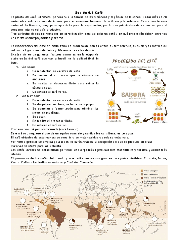 Miniatura del documento Sesion-6.1-Cafe.pdf