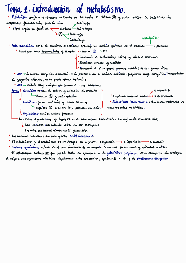 Miniatura del documento BQ-II-PRIMER-PARCIAL.pdf