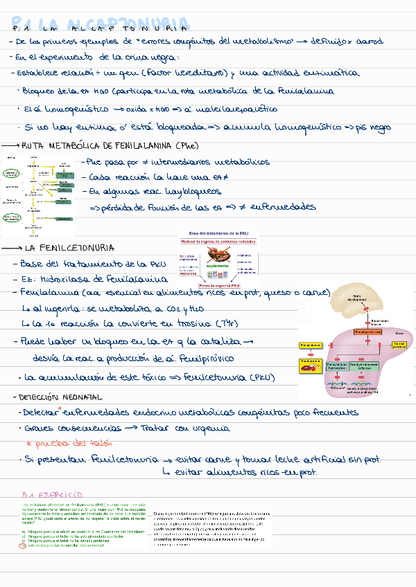 Miniatura del documento T5-RELACION-ENTRE-GENES-Y-PROTEINAS.pdf