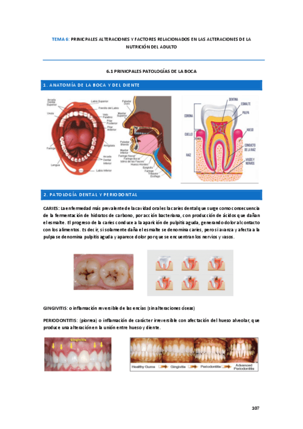 Miniatura del documento tema-6.pdf