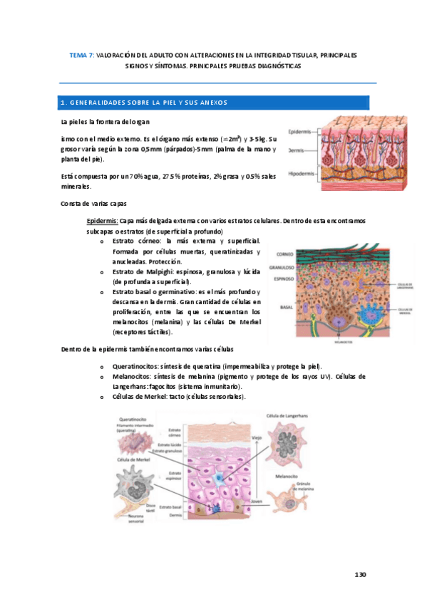 Miniatura del documento tema-7.pdf