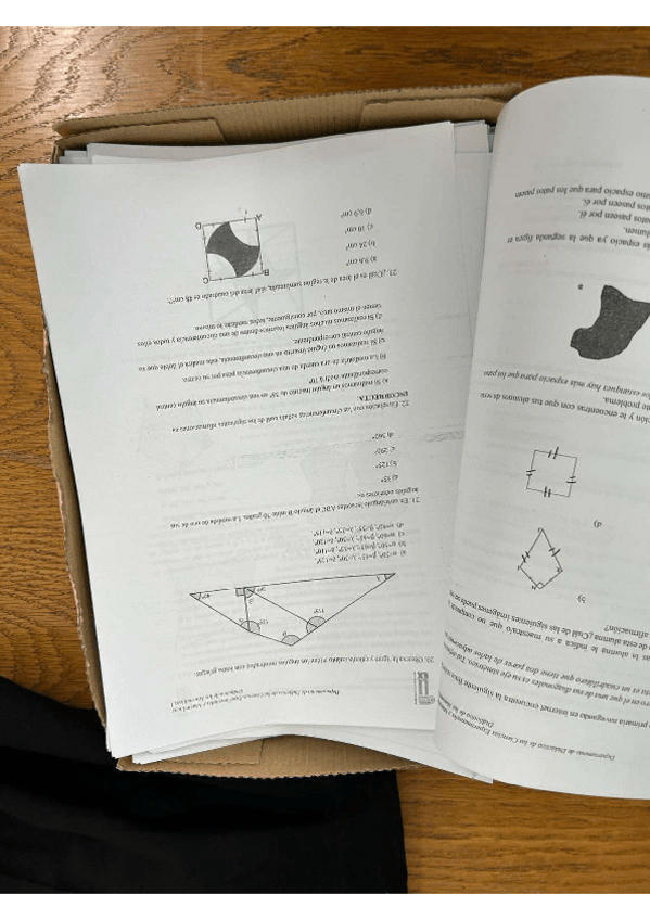 Miniatura del documento Imagen-de-WhatsApp-2025-01-10-a-las-11.13.52ce10c6a5.pdf