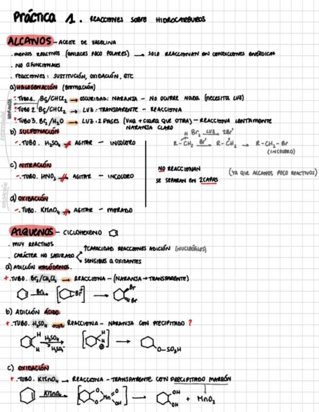 Miniatura del documento Practicas-Organica.pdf