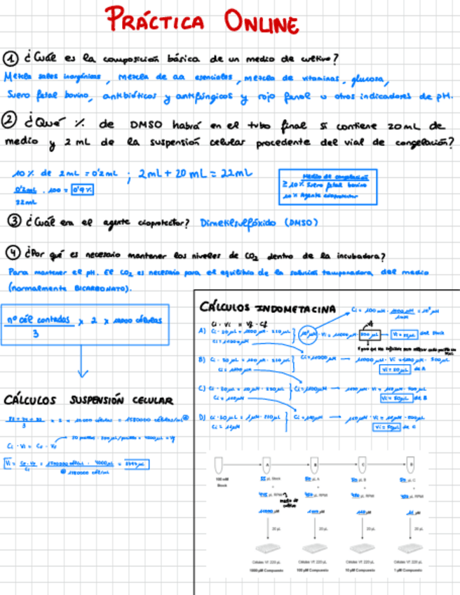 Miniatura del documento Resumen-completo-practicas-farmacologia.pdf