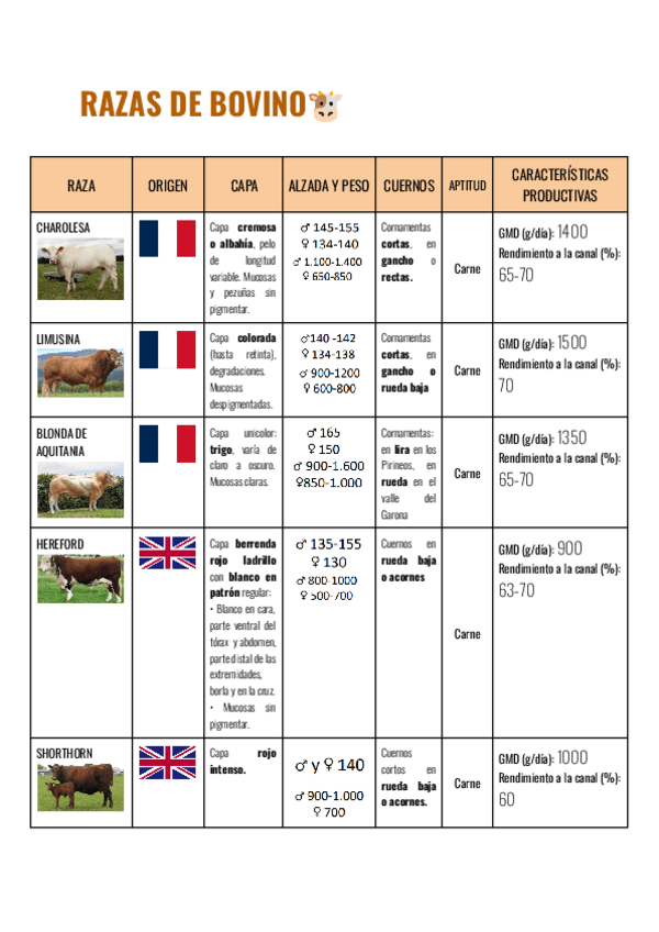 Miniatura del documento RAZAS-BOVINO-TABLA.pdf