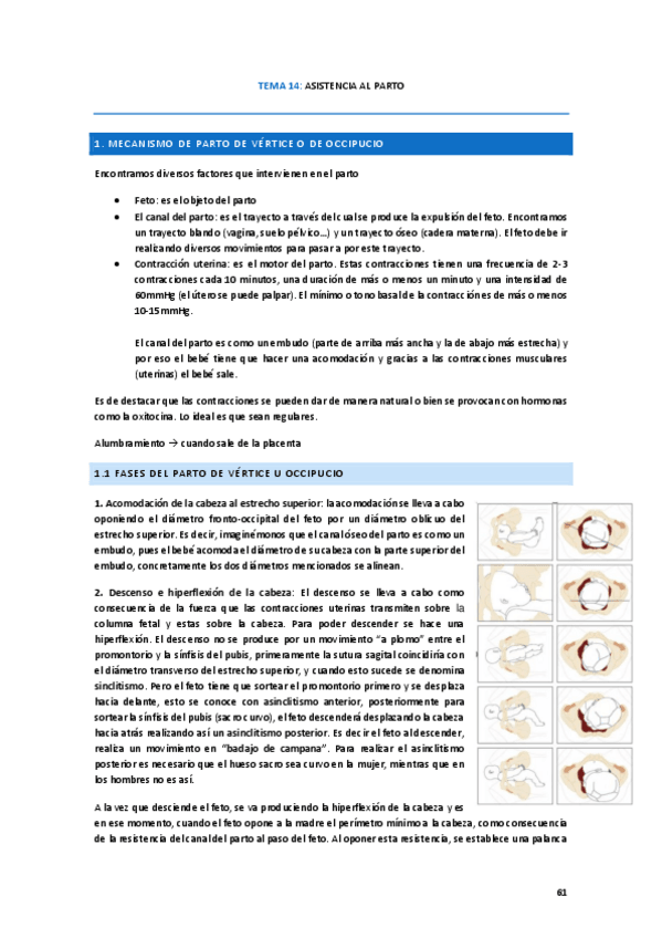 Miniatura del documento SALUD-DE-LA-MUJER-TEMA-14.pdf