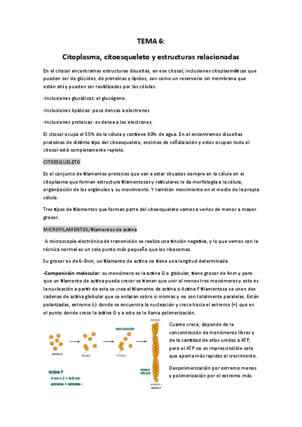 Miniatura del documento Cito-tema-6.pdf