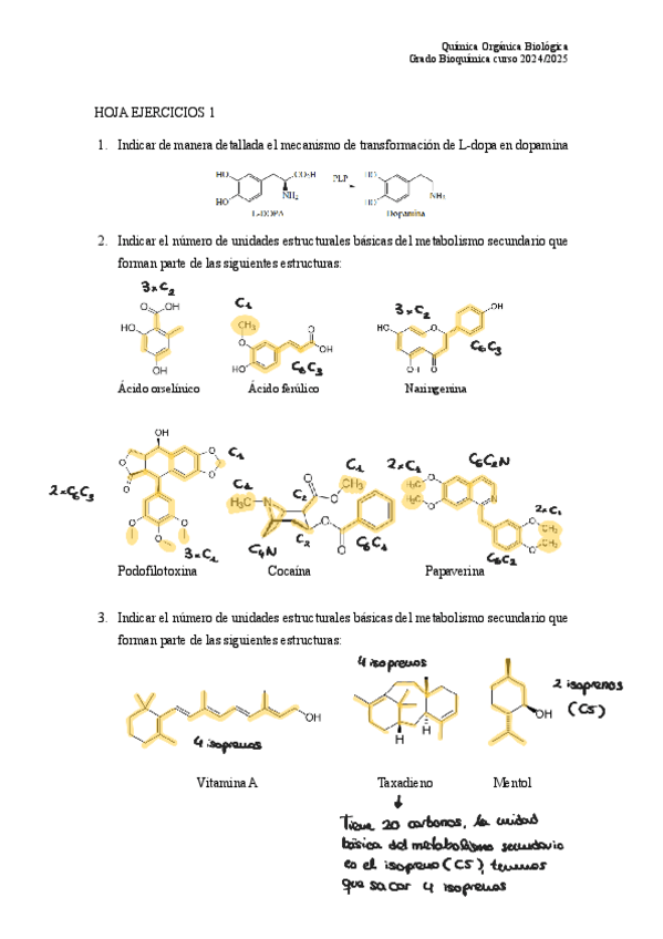 Miniatura del documento Hoja-ejercicios-1-2425250402142703.pdf