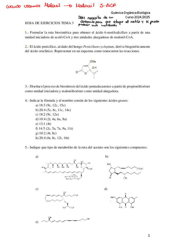Miniatura del documento Ejercicios-Tema-3.pdf