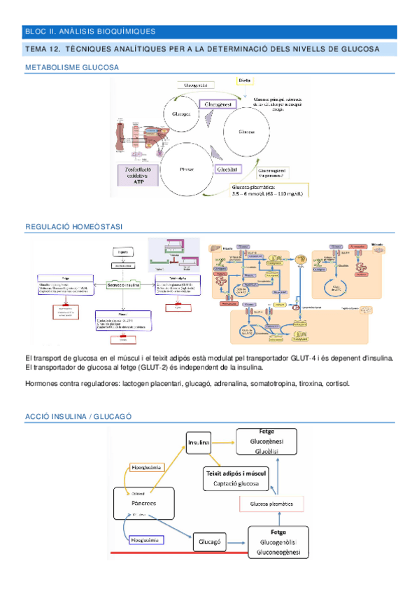 Miniatura del documento Apuntes-Bloc-II-Analisis-clinics.pdf