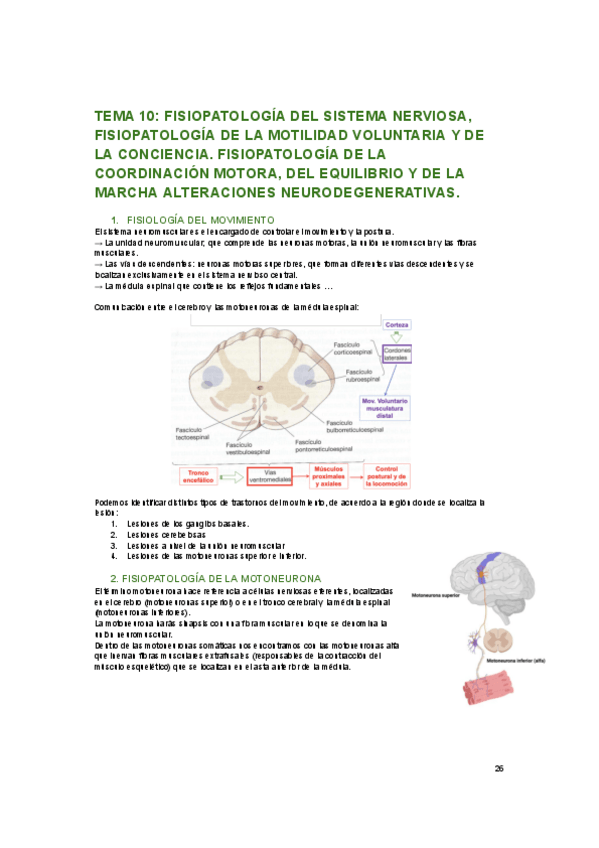 Miniatura del documento tema-3-fisiopatologia.pdf