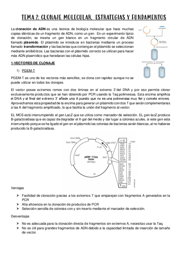 Miniatura del documento TEMA-2-TecADNR..pdf