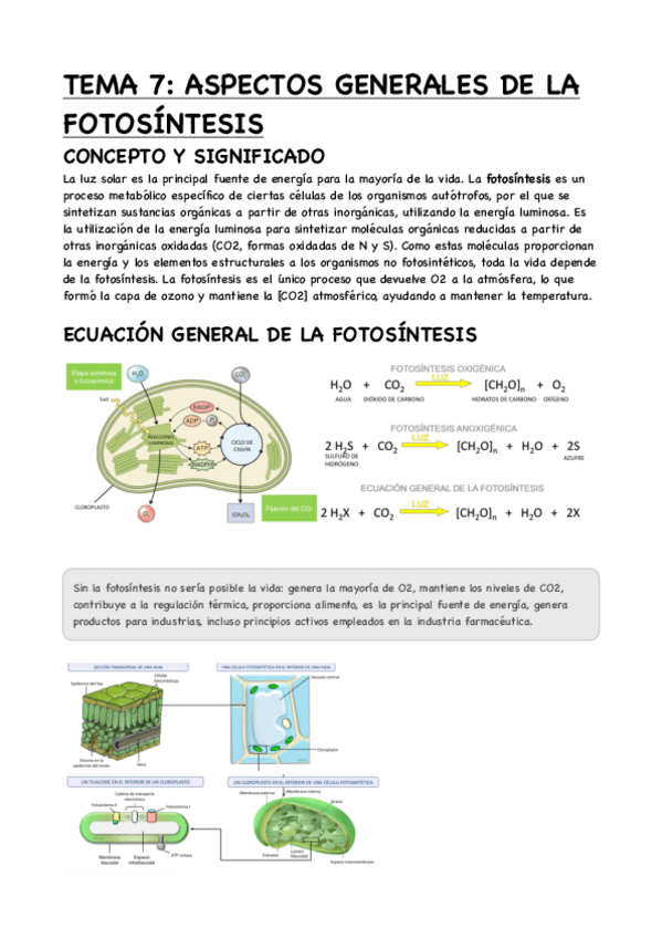 Miniatura del documento TEMA-7-ASPECTOS-GENERALES-DE-LAFOTOSINTESIS.pdf