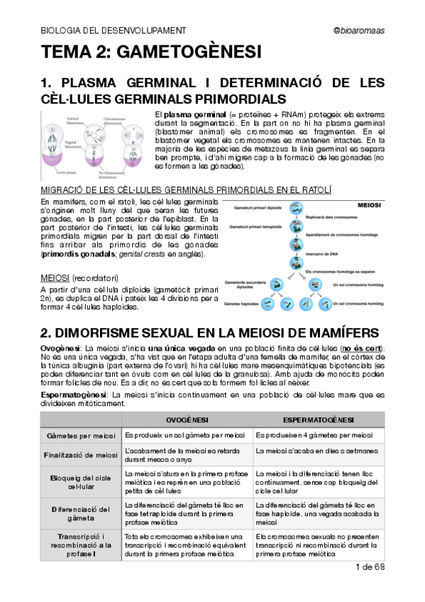 Miniatura del documento BIODES-APUNTS-COMPLETS-1r-parcial.pdf