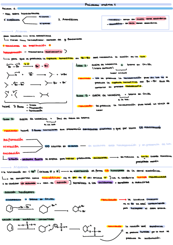 Miniatura del documento resumen-practicas-organica-i.pdf