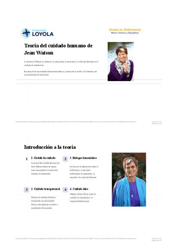 Miniatura del documento Apuntes-Jean-Watson.pdf