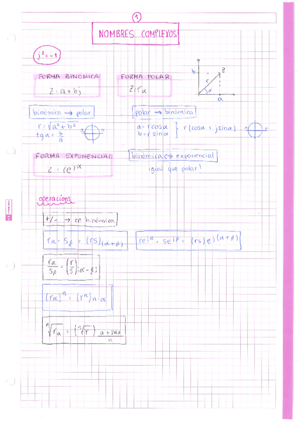 Miniatura del documento ALGEBRA-RESUM-NOMBRES-COMPLEXOS.pdf