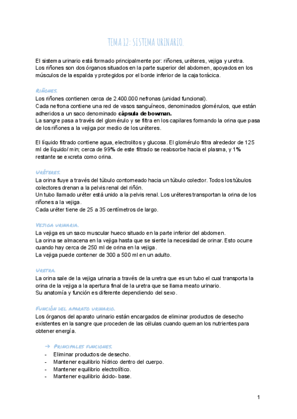Miniatura del documento T12-SISTEMA-URINARIO..pdf