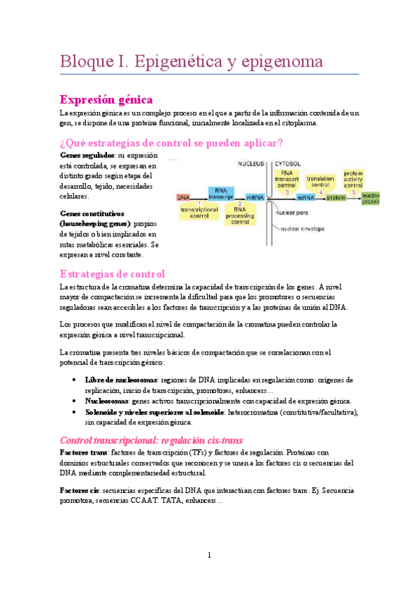 Miniatura del documento Bloque-I-clases-Eva-Barrio.pdf