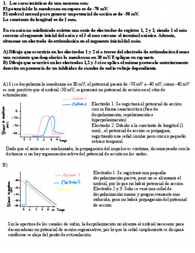 Miniatura del documento Preguntas-Cortas-1parcial-Fisiologia.pdf