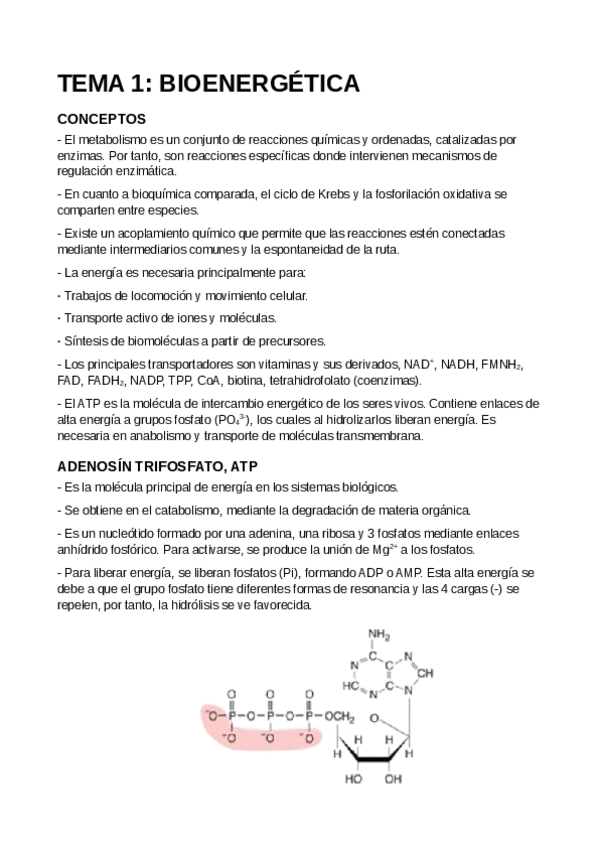 Miniatura del documento T1-Introduccion-a-la-Bioenergetica.pdf