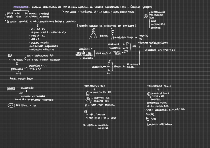 Miniatura del documento PRECLAMPSIA.pdf