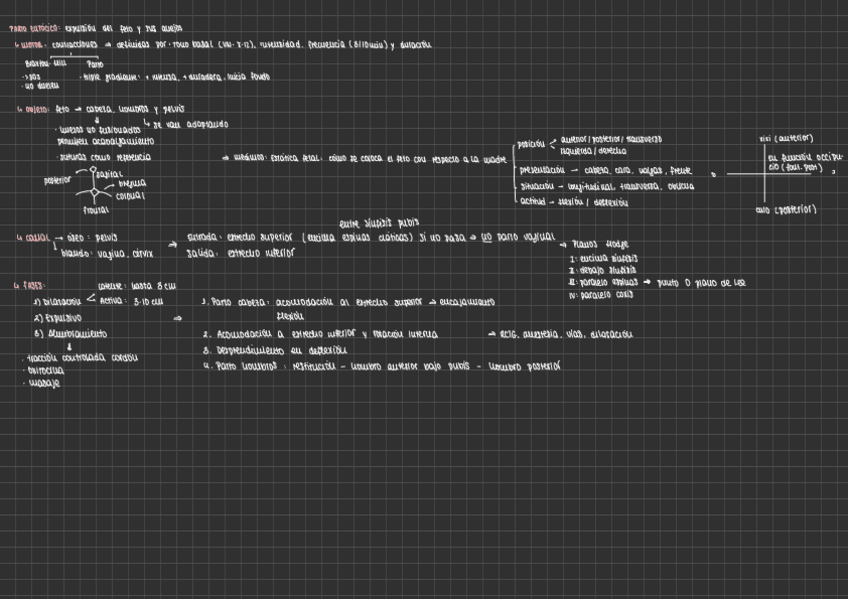 Miniatura del documento PARTO-EUTOCICO.pdf