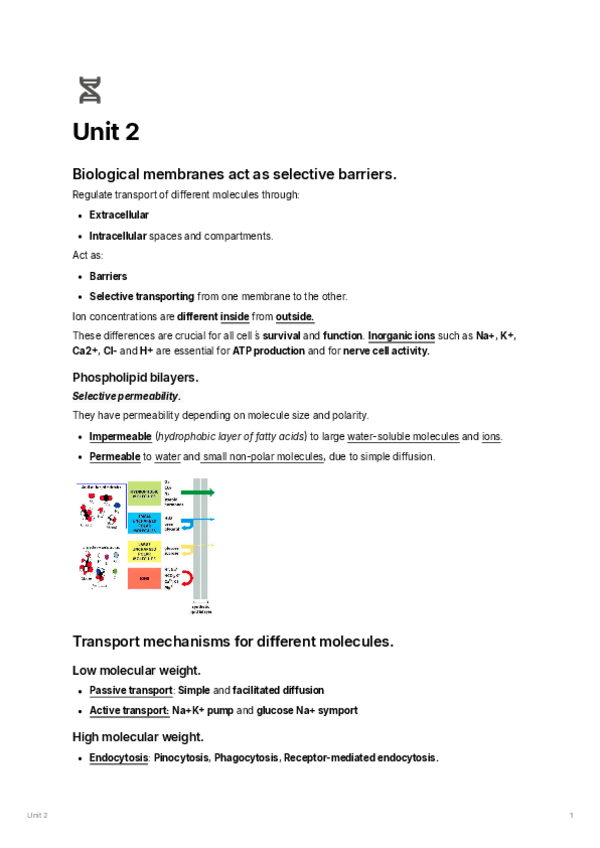 Miniatura del documento Unit-2.pdf