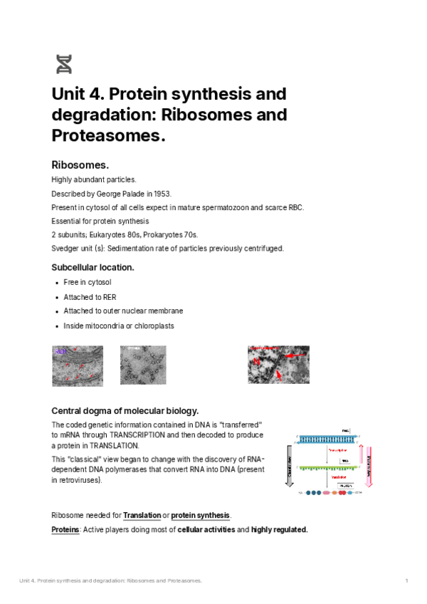Miniatura del documento Unit-4.pdf