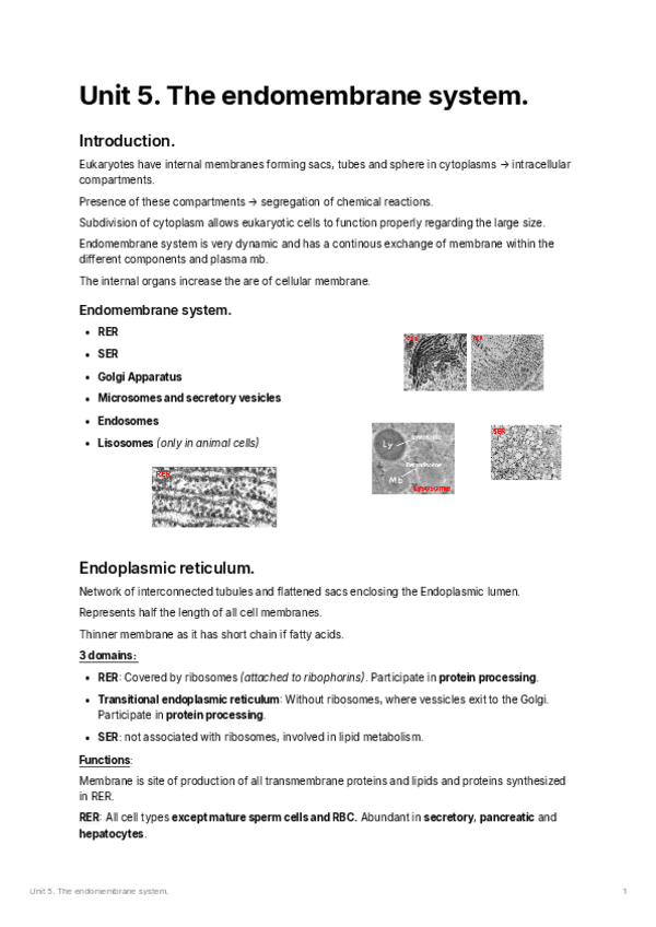Miniatura del documento uNIT-5.pdf