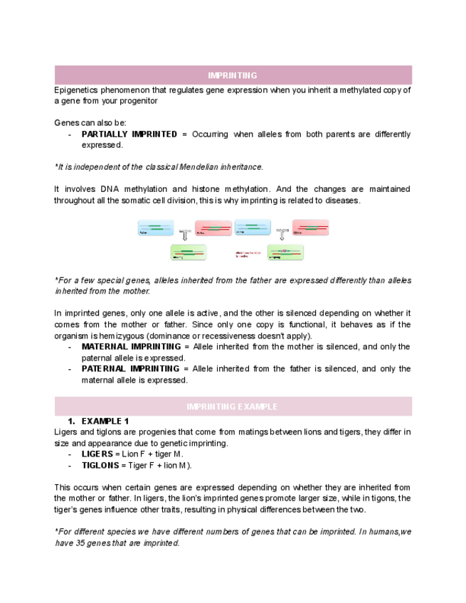Miniatura del documento 8.-IMPRINTING.pdf
