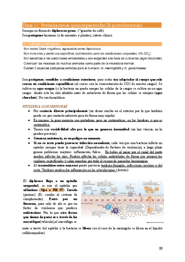 Miniatura del documento MIC2-Tema12.pdf