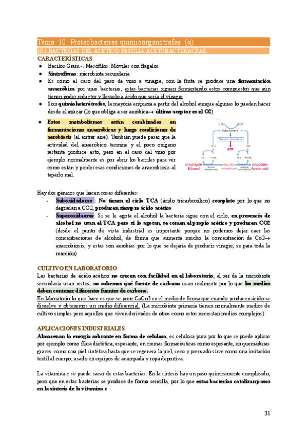 Miniatura del documento MIC2-Tema10.pdf