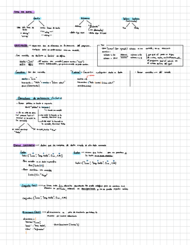 Miniatura del documento Pythoningles.pdf