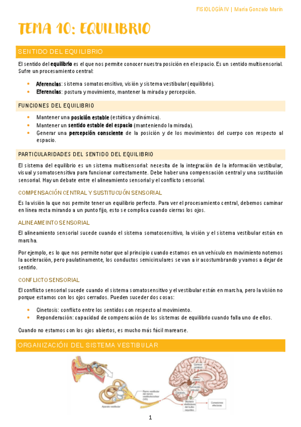 Miniatura del documento fisio-equilibrio.pdf