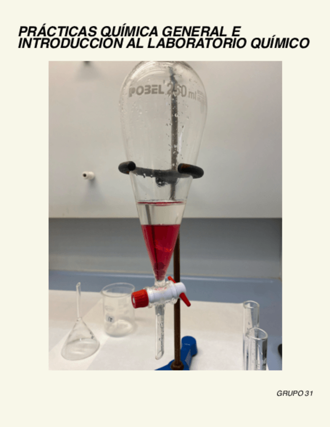 Miniatura del documento Resumen-Practicas-Quimica-General-con-cuestiones.pdf