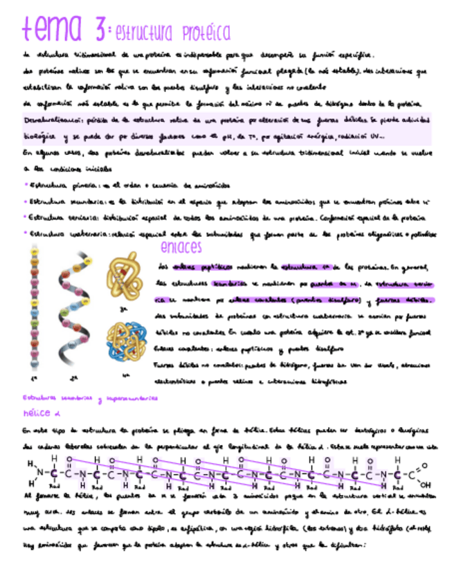 Miniatura del documento Bioquimica-temas-3-y-4.pdf