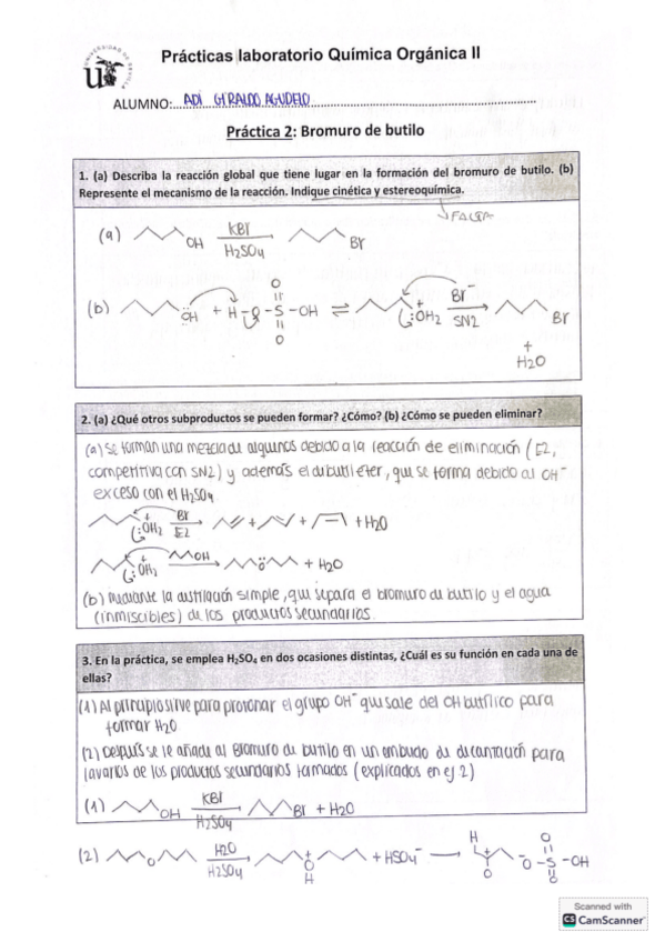 Miniatura del documento Practicas-organica-informes-dirigidos.pdf